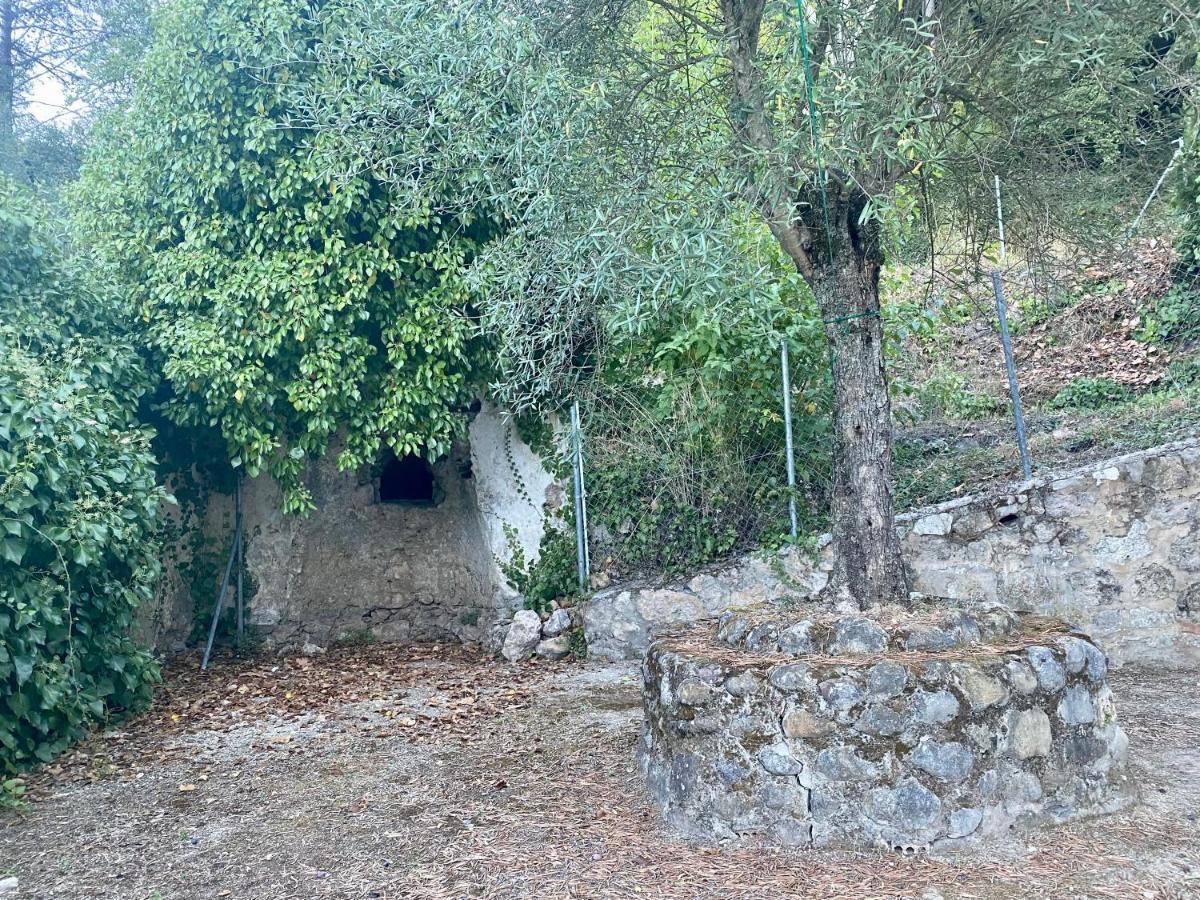 Stay Wild En Las Casitas De Huerta Arriba Бенамаома Екстериор снимка